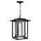 Cwi Lighting Winfield 1 Light Black Outdoor Hanging Light 0414P10-1-101 - alternate 1